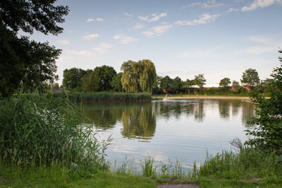 Foto: Erik Obbink